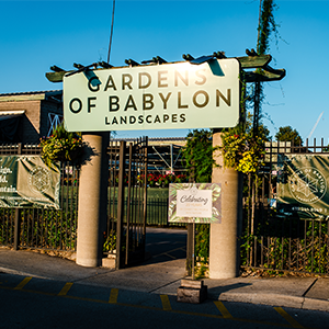Babylon