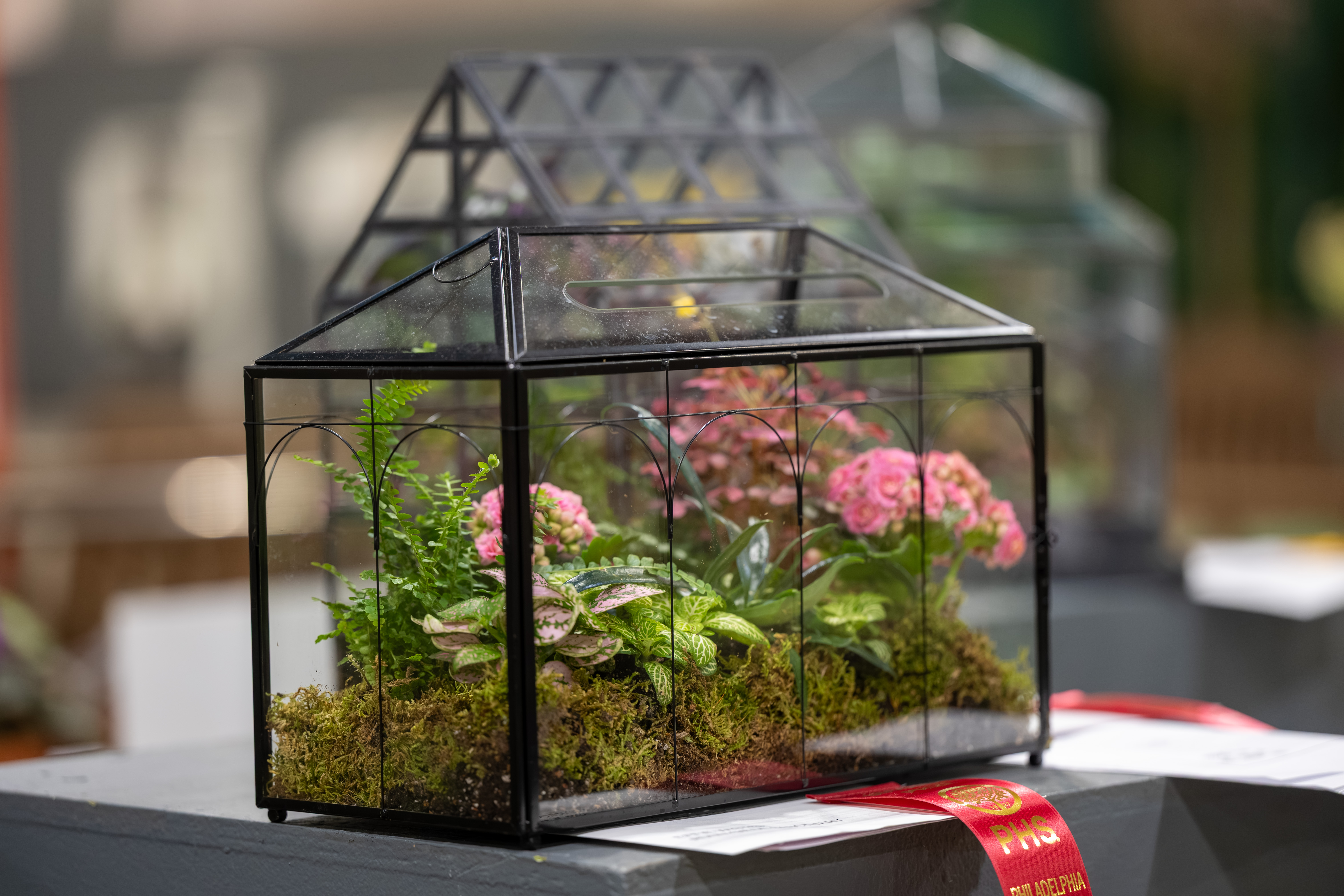 Pennsylvania Horticultural Society predicts top gardening trends