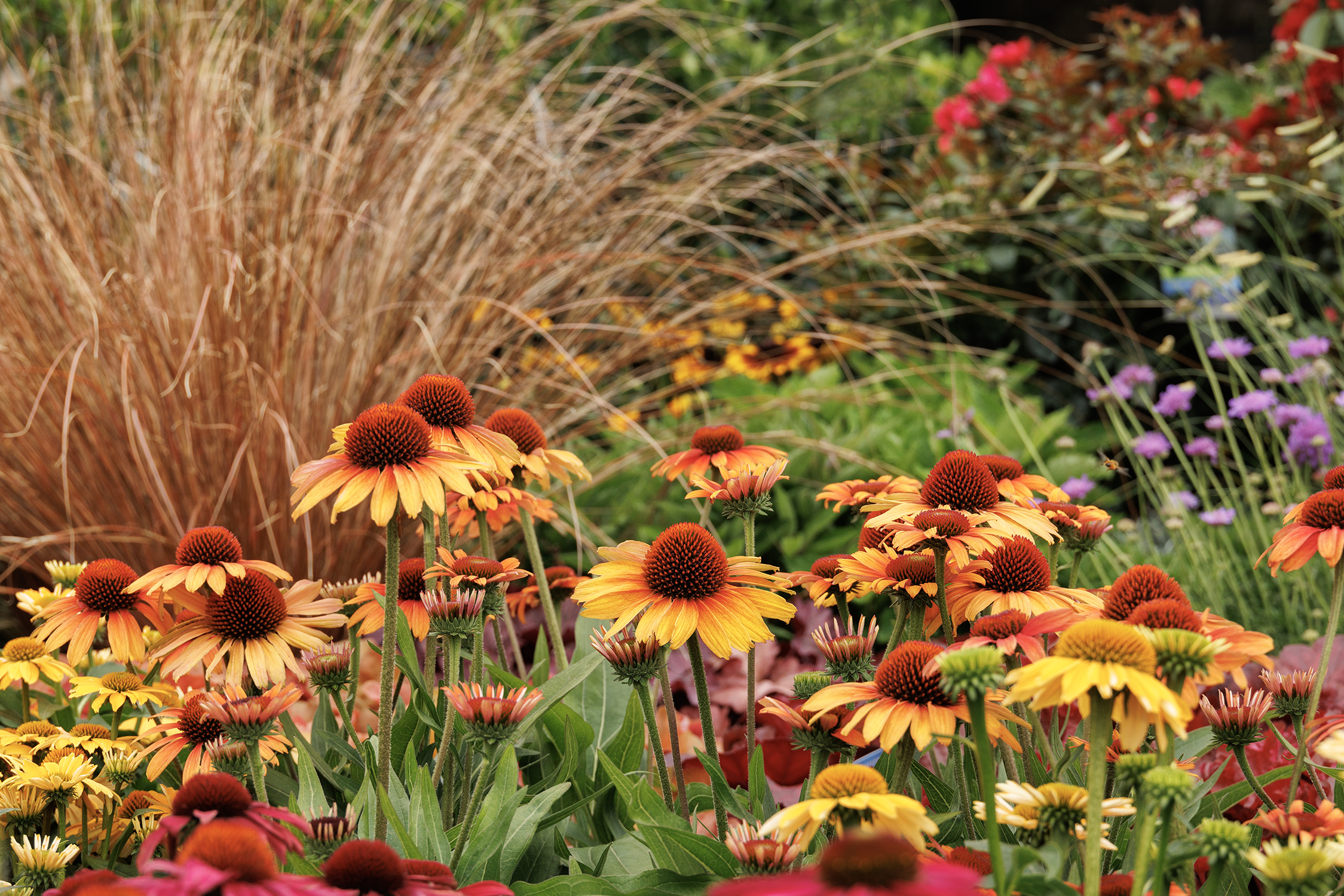 Top trends your customers will be focused on in 2027 - Nursery Management