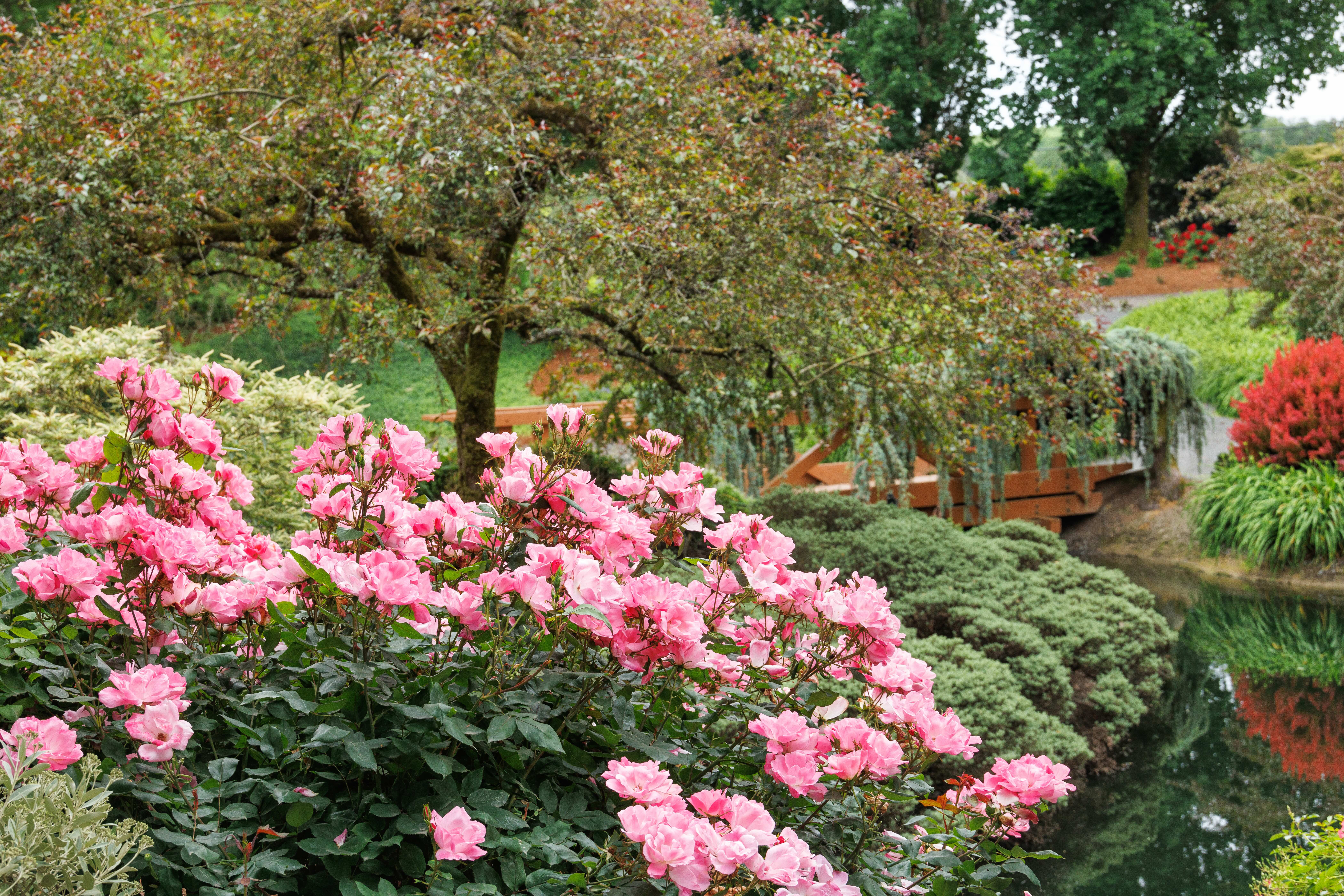Top trends your customers will be focused on in 2027 - Nursery Management
