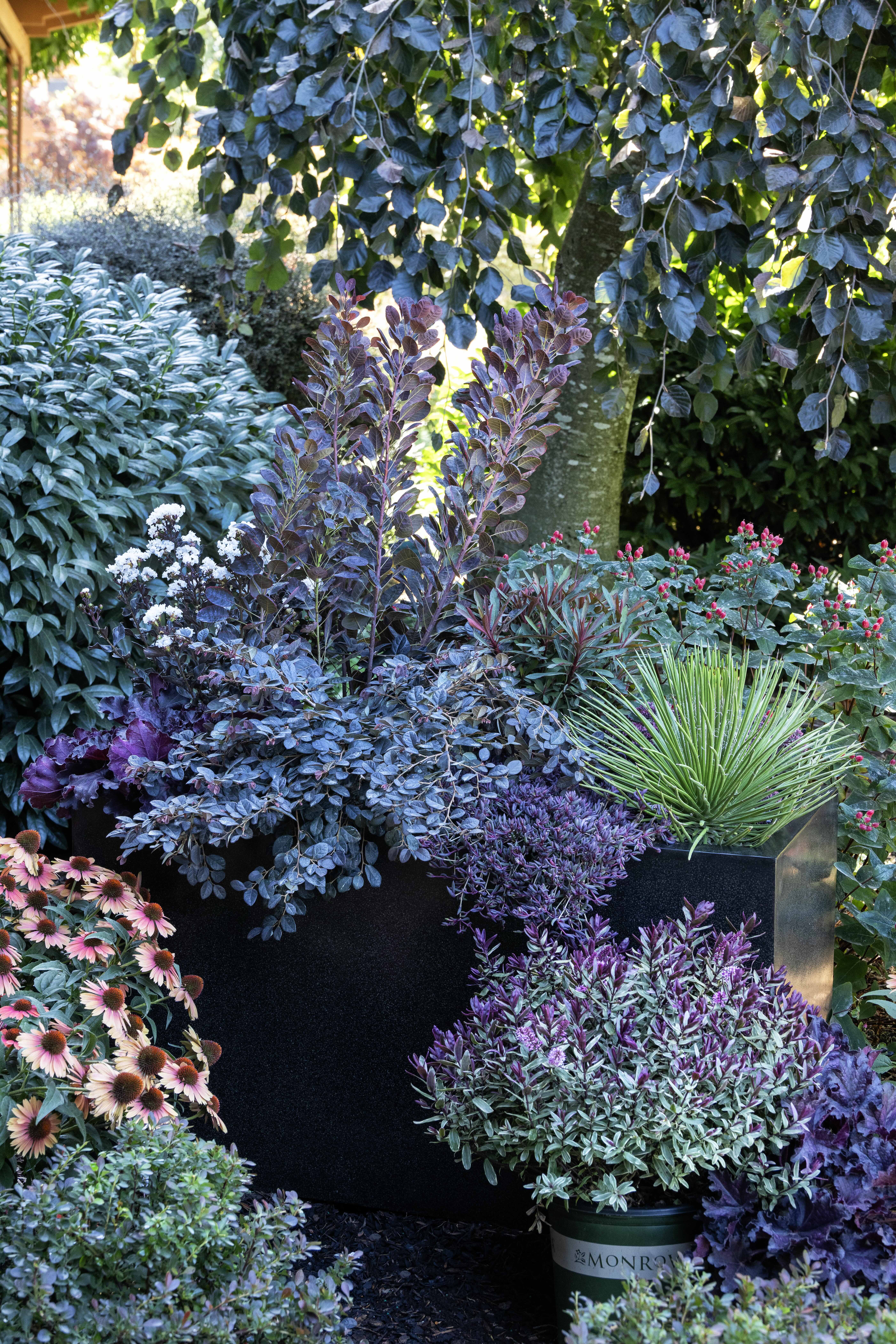 Top trends your customers will be focused on in 2027 - Garden Center
