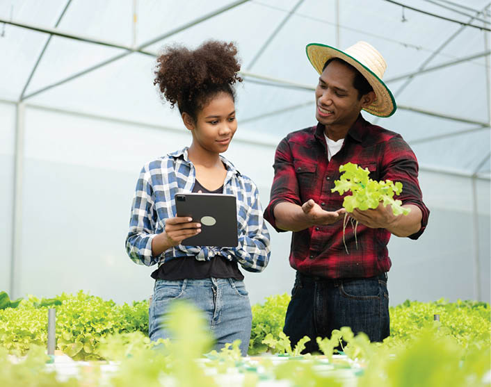  Asian woman and man farmer working together in organic hydroponic salad vegetable farm. using tablet inspect quality of lettuce in greenhouse garden. Smart farming 