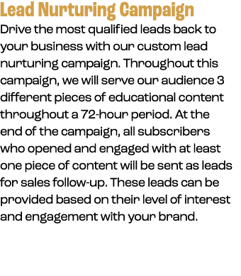 Lead Nurturing Campaign Drive the most qualified leads back to your business with our custom lead nurturing campaign....