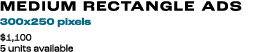 MEDIUM RECTANGLE ADs 300x250 pixels $1,100 5 units available