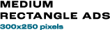 MEDIUM RECTANGLE ADs 300x250 pixels