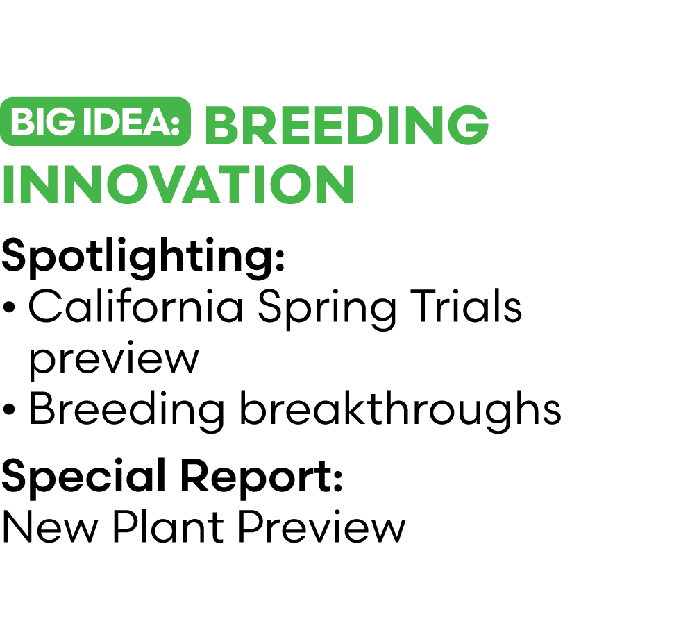 ￼ Breeding Innovation Spotlighting: • California Spring Trials preview • Breeding breakthroughs Special Report: New P...