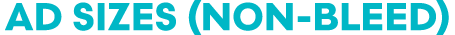 Ad Sizes (Non Bleed)