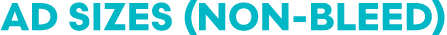 Ad Sizes (Non Bleed)