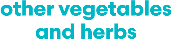 other vegetables and herbs