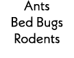 Ants Bed Bugs Rodents 