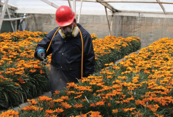 a man wearing a hard hat and protective gear while spraying insecticide inside a greenhouse