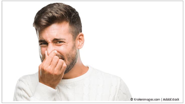 Why Do Stink Bugs Stink? - Pest Control Technology