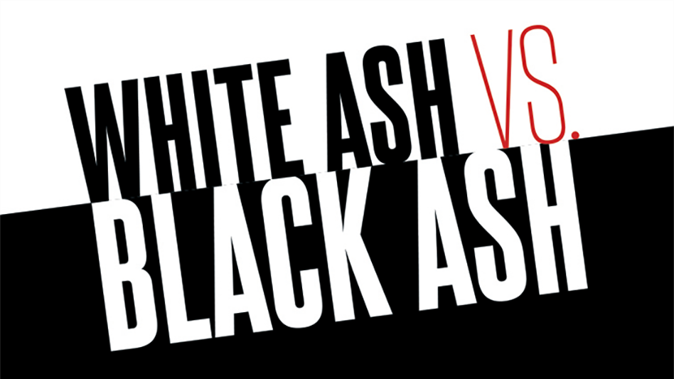 White Ash vs. Black Ash Cannabis Business Times