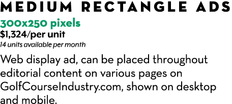 MEDIUM RECTANGLE ADs 300x250 pixels $1,324/per unit 14 units available per month Web display ad, can be placed throug...