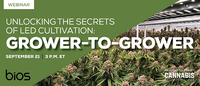 BIOS Webinar | Unlocking the Secrets of LED Cultivation