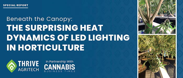 Beneath the Canopy: The Surprising Heat Dynamics of LED Lighting in Horticulture