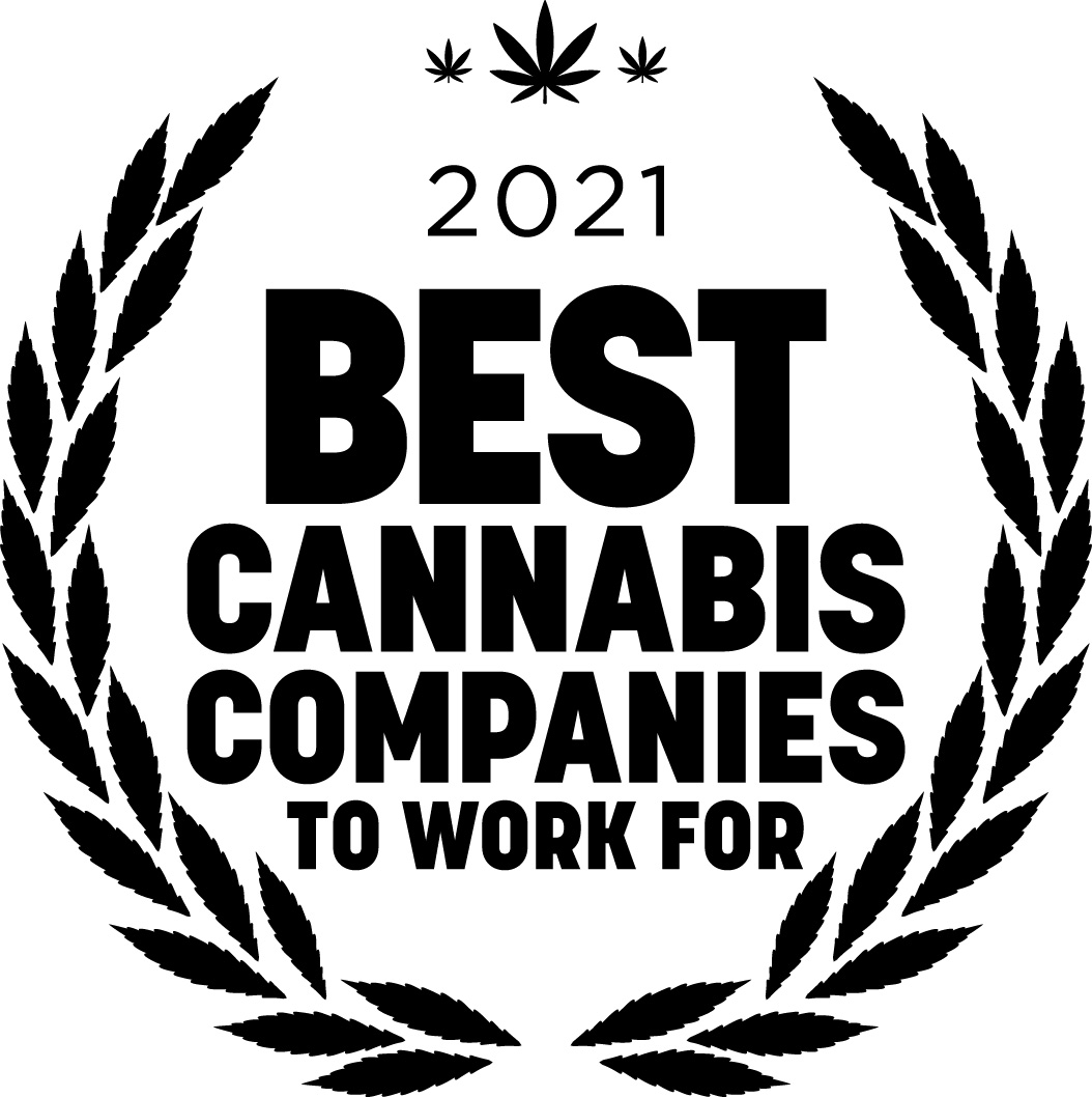 best cannabis companies to work for