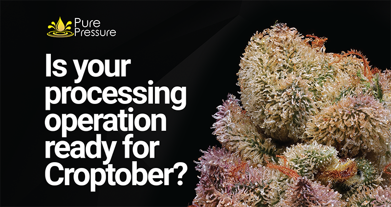 Is your processing operation ready?