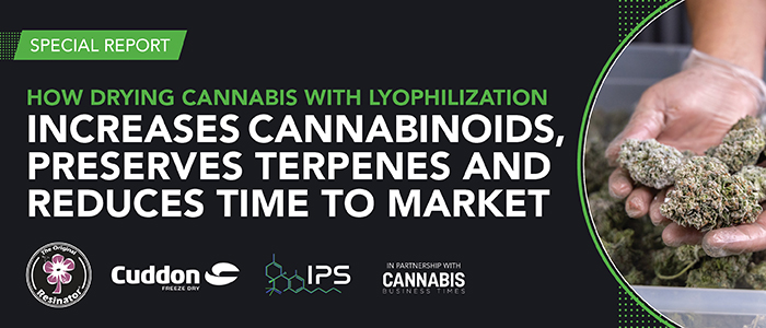 Special Report How Drying Cannabis with Lyophilization Increases Cannabinoids, Preserves Terpenes and Reduces Time to Market