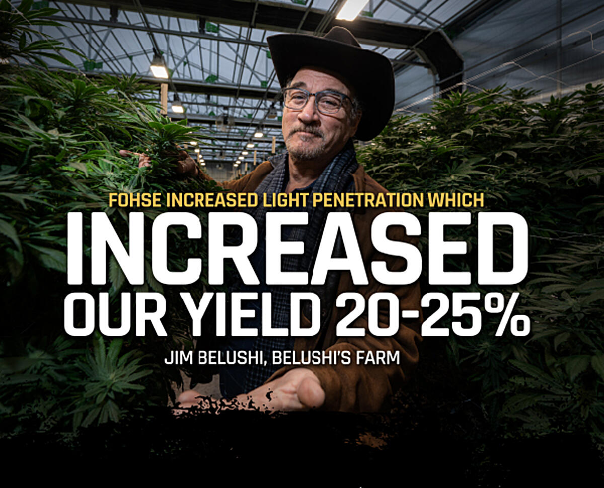 Fohse-Increased-our-light-penetration-which-increased-our-yield-20-25-percent