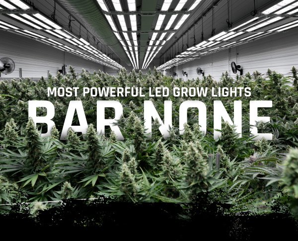 Most-Powerful-LED-Grow-LIGHTS-BAR-NONE