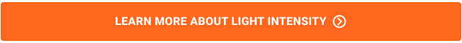 Learn More about light intensity