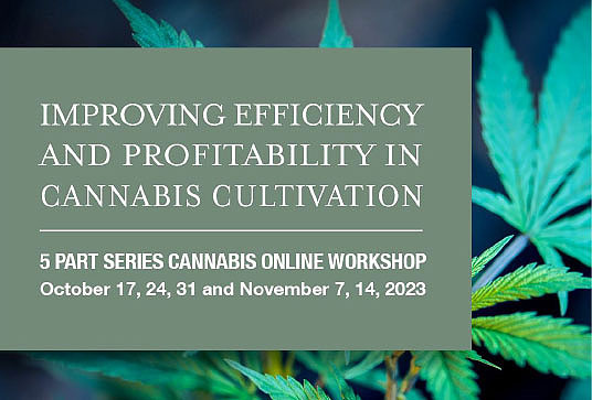 Improving Efficiency and Profitability in Cannabis Cultivation | 5 part series cannabis online workshop | October 17, 24, 31 and November 7, 14, 2023